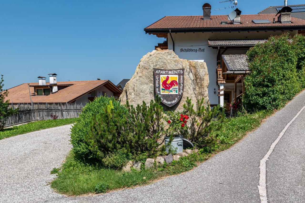 Schildberghof Panorama Lägenhet Seis am Schlern Exteriör bild